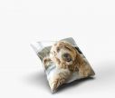 Coussin 37 x 37